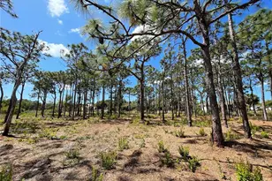 6438 Fuller Dr, Bokeelia, FL 33922 - Photo 2