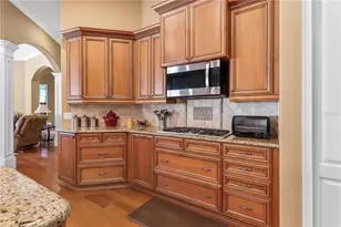 6826 Silver Charm Ct, Leesburg, FL 34748 - Photo 20