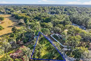 Tbd Lot 18 Apawamis Dr, Sorrento, FL 32776 - Photo 24