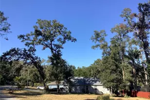 Tbd Lot 18 Apawamis Dr, Mount Plymouth, FL 32776 - Photo 26