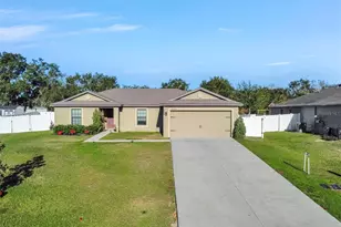 35729 Rose Moss Ave, Leesburg, FL 34788 - Photo 42