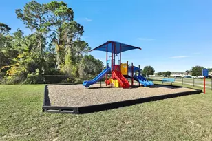 35729 Rose Moss Ave, Leesburg, FL 34788 - Photo 40