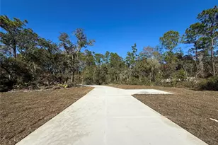 30260 W Thyme Ave, Eustis, FL 32736 - Photo 42