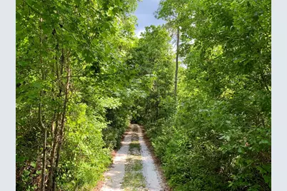 30260 W Thyme Avenue, Eustis, FL 32736 - Photo 52