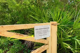 30260 W Thyme Ave, Eustis, FL 32736 - Photo 50