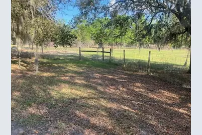 3301 Hammock Grove Road, Groveland, FL 34736 - Photo 6