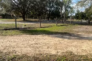 3301 Hammock Grove Rd, Groveland, FL 34736 - Photo 8