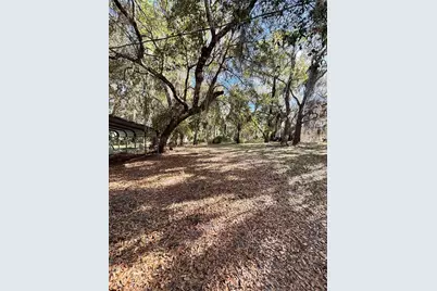 14179 NE 53rd Court Road, Citra, FL 32113 - Photo 6