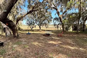 14179 NE 53rd Court Rd, Citra, FL 32113 - Photo 8