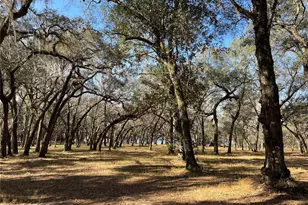 Forest 02 Rd, Umatilla, FL 32784 - Photo 1