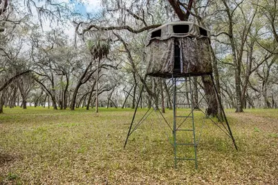 Forest  02 Road, Umatilla, FL 32784 - Photo 60