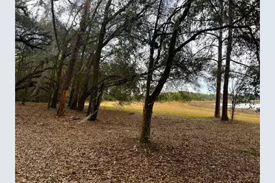 Forest  02 Road, Umatilla, FL 32784 - Photo 6