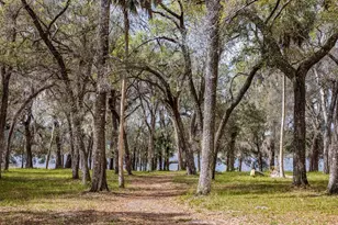Forest 02 Rd, Umatilla, FL 32784 - Photo 1