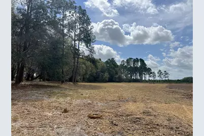 Forest  02 Road, Umatilla, FL 32784 - Photo 8