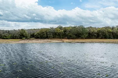 Forest  02 Road, Umatilla, FL 32784 - Photo 2