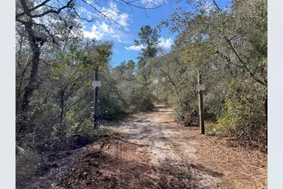 Forest  02 Road, Umatilla, FL 32784 - Photo 14