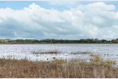 Forest  02 Road, Umatilla, FL 32784 - Photo 16