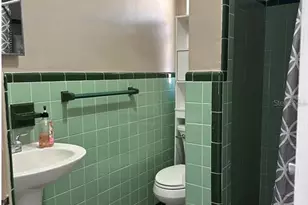 607 E Johns Ave, Mount Dora, FL 32757 - Photo 6