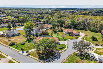 39125 Tacoma Drive, Lady Lake, FL 32159 - Photo 6