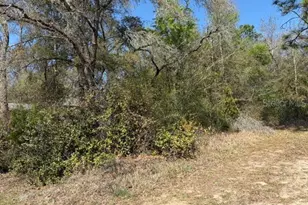 1567 W St Elizabeth Pl, Citrus Springs, FL 34434 - Photo 1