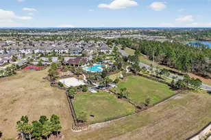 2605 Clemson Rdg Ct, Clermont, FL 34715 - Photo 46