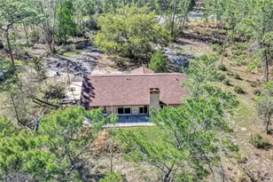 2588 Co Rd 245C, Oxford, FL 34484 - Photo 48