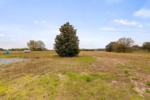 22435 County Rd 455, Howey in the Hills, FL 34737 - Photo 44