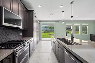 1252 Dora Parc Ln, Mount Dora, FL 32757 - Photo 22