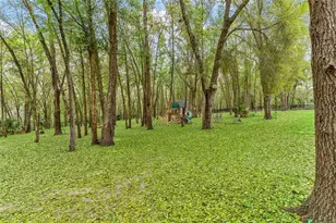 35629 Seneca Reserve Dr, Eustis, FL 32736 - Photo 70