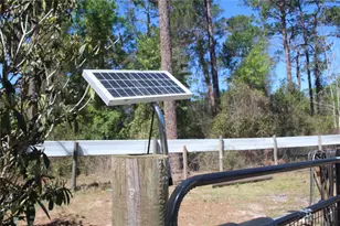 24427 Wild Turkey Rd, Paisley, FL 32767 - Photo 50