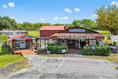 26921 Bloomfield Avenue, Yalaha, FL 34797 - Photo 4