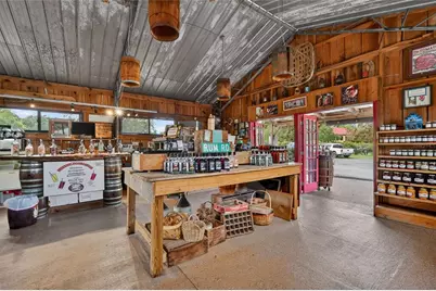 26921 Bloomfield Avenue, Yalaha, FL 34797 - Photo 8