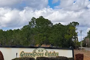 Greengrove Blvd, Clermont, FL 34714 - Photo 1