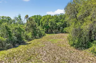 32510 Whitney Rd, Leesburg, FL 34748 - Photo 10