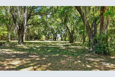 32510 Whitney Road, Leesburg, FL 34748 - Photo 12