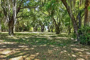 32510 Whitney Rd, Leesburg, FL 34748 - Photo 12