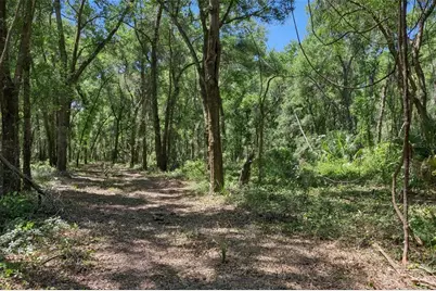 0000 Bertsville Road & Griffin View Drive, Lady Lake, FL 32159 - Photo 18