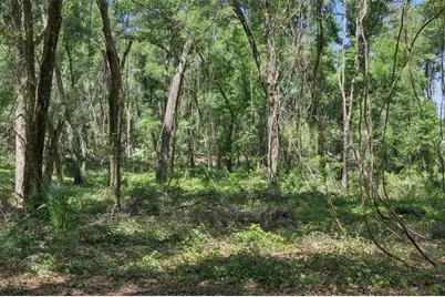0000 Bertsville Road & Griffin View Drive, Lady Lake, FL 32159 - Photo 20
