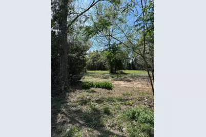 0000 State Road 19, Groveland, FL 34736 - Photo 4