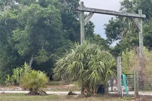 10963 SE Shelfer Ave, Arcadia, FL 34266 - Photo 2