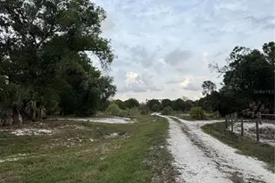 10963 SE Shelfer Ave, Arcadia, FL 34266 - Photo 8