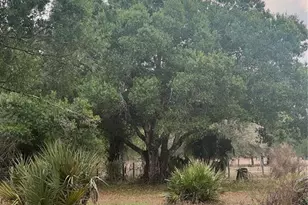 10963 SE Shelfer Ave, Arcadia, FL 34266 - Photo 6