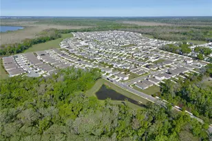 29320 Armoyan Blvd, Leesburg, FL 34748 - Photo 6