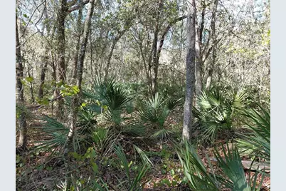 36031 Butternut Drive, Webster, FL 33597 - Photo 12