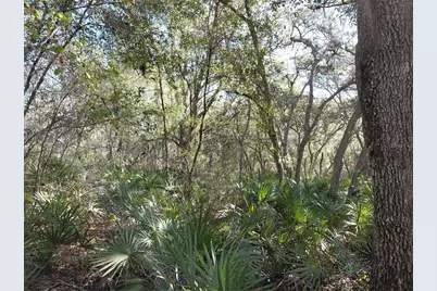 36031 Butternut Drive, Webster, FL 33597 - Photo 10