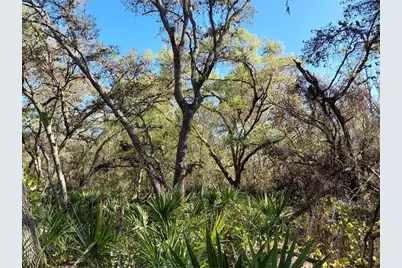 36031 Butternut Drive, Webster, FL 33597 - Photo 4