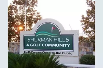 31043 Willow Bank Avenue, Brooksville, FL 34602 - Photo 54