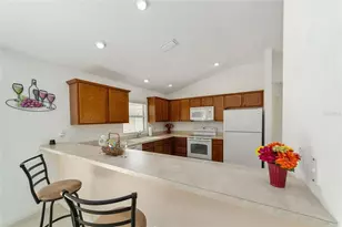 2055 Hydrangea Ave, The Villages, FL 32162 - Photo 8