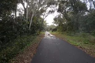 17345 Porter Ave, Montverde, FL 34756 - Photo 18