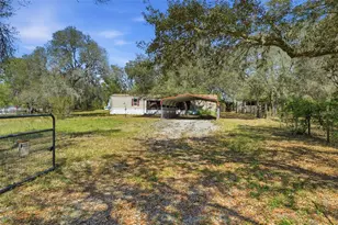 31621 S Lake Dr, Eustis, FL 32736 - Photo 8